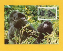 Ruanda  1985 ,  Maxmum Card - Mountain Gorilla - WWF - First Day 25.3.1985 - Otros & Sin Clasificación