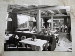 Austria -Tirol    -SCHWAZ -  Alpengasthof Egertboden, Fam. Dessl-Stöckl  - Playing Harp   D128096 - Schwaz