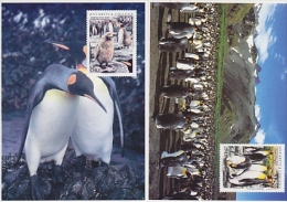 Chile 1996 Antarctica / Penguins 2 Postcards (with Reprint Of The Stamps) Unused (20143) - Other & Unclassified