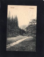 52415   Germania,  Oberhof,  Silbergraben,  VG  1912 - Oberhof