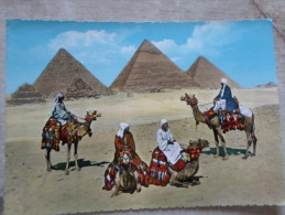 Egypt  -Gizeh - Pyramids - Camel Chameaux   Ca 1960  D128215 - Pirámides