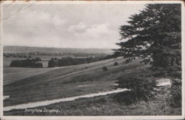 IVINGHOE DOWNS NR IVINGHOE BEACON Nr EDLESBOROUGH LEIGHTON BUZZARD - Buckinghamshire