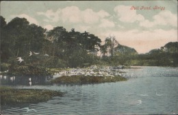 Brigg Gull Ponds Scawby Used Brigg Postmark 1906 Old Postcard - Andere & Zonder Classificatie