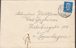 Germany Deutsches Reich Blumenhaus WILHELM SCHIFFER, WUPPERTAL Elberfeld 1931 Cover Brief  To Denmark 25 Pf. Hindenburg - Other & Unclassified