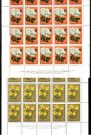 BULGARIA / BULGARIE - 1981 - Medicinals Plants - 6 Feuillets 4x5**MNH - Geneeskrachtige Planten