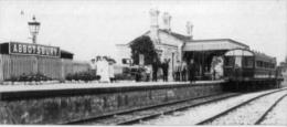 Abbotsbury Railway Station Early 1900s - Ferrocarril