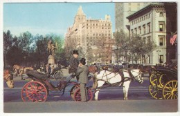 Carriages On 59th Street, New York City - Transports