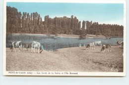 PONT DE VAUX - Les Bords De La Saône Et L'ile Brouard. - Pont-de-Vaux