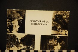 CP, 01, Perle De L'AIN Multivues Voyagé En 1956 Ed E PROTET - Sin Clasificación