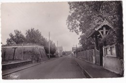 CHAMPDENIERS. - Route De Bressuire. Cpsm 9x14 - Champdeniers Saint Denis