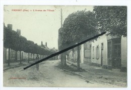 CPA - Froissy - L'Avenue Des Tilleuls - Froissy