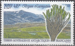 TAAF 2001 Yvert 293 Neuf ** Cote (2015) 13.50 Euro Flore Antarctique Bryum Laevigatum - Ungebraucht