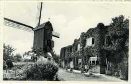 BEVEREN Aan De IJZER Bij Alveringem (W.Vl.) - Molen/moulin - De Verdwenen Hoge Seinemolen, Later Verplaatst Naar Brugge - Alveringem