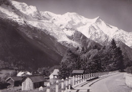 CHAMONIX       LE MONT BLANC (DIL146) - Chamonix-Mont-Blanc