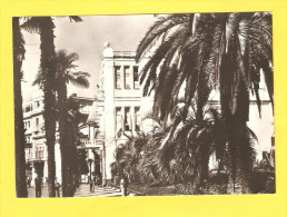 Delcampe - Postcard - Georgia,Suchumi     (V 24354) - Georgien