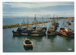 LES MATHES--LA PALMYRE--Le Port (beaux Bateaux De Pêche) Cpm  éd  CAP Théojac--pas Très Courante - Les Mathes