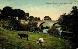 CLWYD - OVERTON BRIDGE NEAR WREXHAM 1914 Clw285 - Flintshire