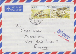 14669- COMMON LIZZARS, SMOOTH NEWT, STAMPS ON COVER, 1999, IRELAND - Brieven En Documenten