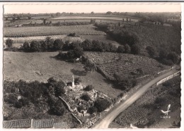 CP 44 Boussay ( La Croix ) - Boussay