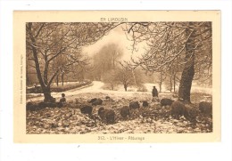 CPA : 87 - LIMOUSIN : L'Hiver - Pâturage :  Berger - Moutons Sous La Neige - Route Enneigée - Peu Commune - Viehzucht