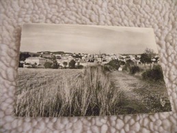 A269. CPA . 43.  CRAPONNE SUR ARZON . Vue Générale .   Beau Plan .ecrite & Voyagée 1961 - Craponne Sur Arzon