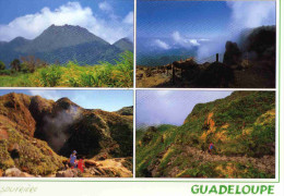 CPM  Guadeloupe Basse Terre - Basse Terre