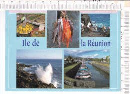 ILE  DE  LA  REUNION   -  Scène  De  Pêche Dans La  Région De  St  Philippe  Et  St  Pierre -  5  Vues - Saint Pierre