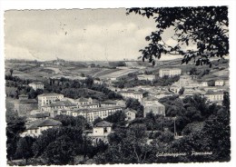 SALSOMAGGIORE 1955 - PANORAMA - C838 - Parma