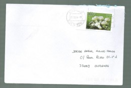 SPAIN ESPAGNE LETTRE 2014 MUSHROOMS - Lettres & Documents