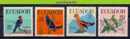 Mmf231 FAUNA VOGELS ROTSHAAN PAPEGAAI GALLO DE LA ROCA PARROT BIRDS VÖGEL AVES OISEAUX ECUADOR 1958 PF/MNH - Collections, Lots & Séries