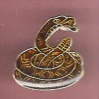 43106-Pin's-Serpent.Cobra. - Tiere
