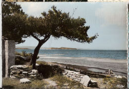 CP Sigean L'Etang De  L'Angle Lieu Dit 11 Aude - Sigean