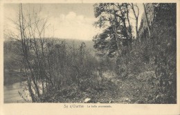 Sy  S/Ourthe   La Belle Promenade.;  Reklamekaart   AUBERGE DU CHEVAL BLANC! - Hamoir