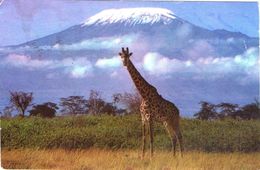 CPM - TANZANIE : KILIMANDJARO ENNEIGÉ, GIRAFE  - TIMBRE 1974 - Tanzania