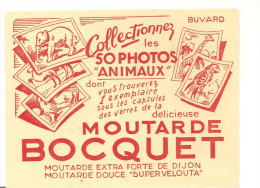 Buvard BOCQUET Moutarde BOCQUET Collectionnez Les 50 Photos D'animaux - Senf