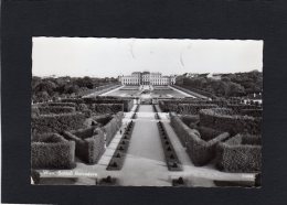 52527    Austria,    Wien,  Schloss Belvedere,  VG  1964 - Belvédère