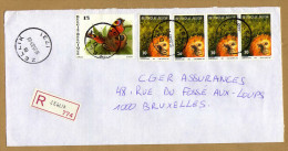 Enveloppe Cover Brief Aangetekend Registered Recommandé Zellik - Cartas & Documentos