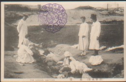 KOREA  NORTH (NORD) OLD POSTCARD THE  COREAN CUSTOS - Corée Du Nord