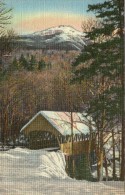 B20 / ETATS UNIS MONTANA MT CPA- LIBERTY AND COVERED BRIDGE AT THE PLAME , FRANCONIA NOTCH, WHITE MONTAINS - Sonstige & Ohne Zuordnung