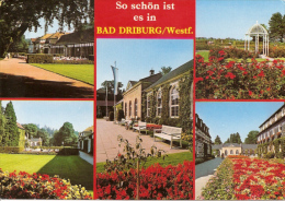 Bad Driburg - Mehrbildkarte 10 - Bad Driburg