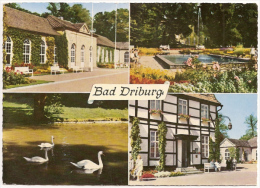 Bad Driburg - Mehrbildkarte 4 - Bad Driburg