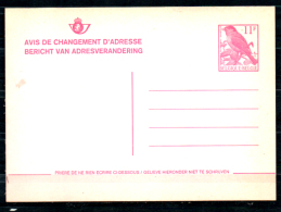 Avis De Changement D’adresse, Oiseaux Tête No - Avis Changement Adresse