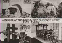Bad Düben - S/w Landschaftsmuseum Der Dübener Heide - Bad Düben