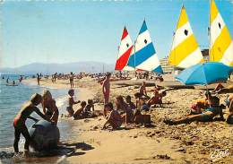 Pyrenees Orientales -gd Format Div- Ref - N798 - Canet Plage - La Plage - Scene De Plage - Theme Jeux De Plage - - Canet En Roussillon