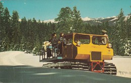 1960 CIRCA YOSEMITE BADGER PASS SKI AREA - Yosemite