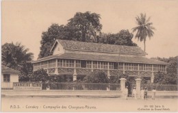 Cpa,afrique Occidentale,guinée Française,conakry,compagn Ie Des Chargeurs-réunis,rare,his Toire Du Pays - Guinée Française