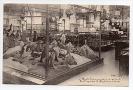 Monaco  Musee Oceanographique  Interior Penguins Giletta Ca1900  Vintage Original Postcard Cpa Ak (W4_876) - Oceanographic Museum