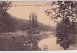 AUDERGHEM / OUDERGEM : Un Des Grands Etangs - Oudergem - Auderghem