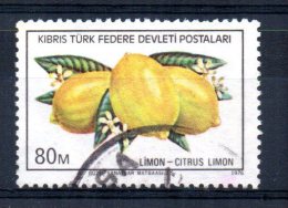 Cyprus (Turkish) - 1976 - 80m Export Products/Lemons - Used - Used Stamps
