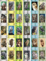 O03215 China Phone Cards Owl Puzzle 120pcs - Owls